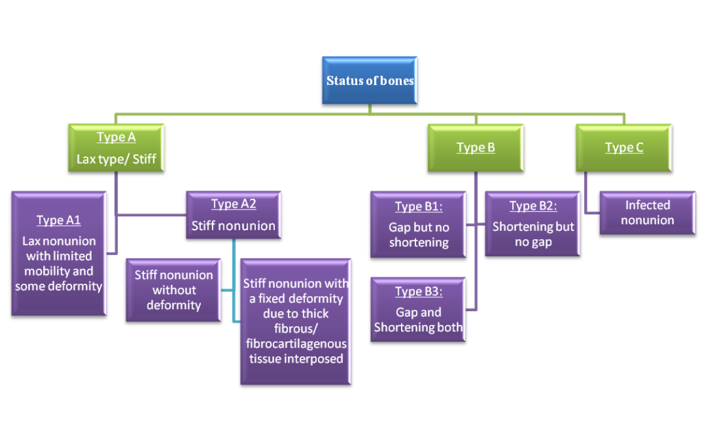 non-union-classification-orthopedics-notes